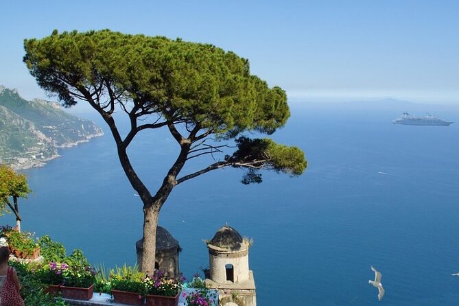 Full-Day Private VIP Boat Tour to Capri - About the Operator
