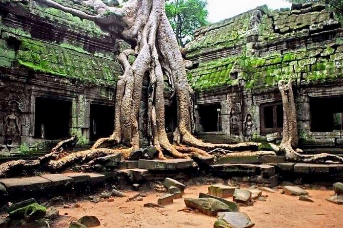 Full-day Private VIP Tour to Angkor Complex - Exclusive Private Experience