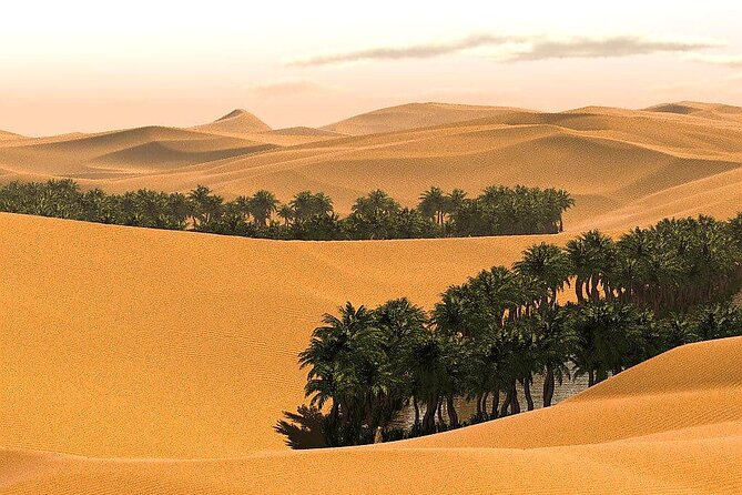 Full-Day Private Wahiba Sands Desert and Wadi Bani Khalid Tour - Tour Highlights