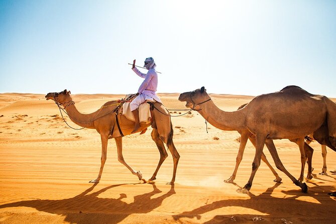 Full-Day Private Wahiba Sands Desert and Wadi Bani Khalid Tour - Discovering Wahiba Sands