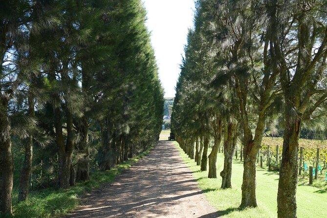 Full Day Private Waiheke Island Wine Tour Including Lunch - Inclusions
