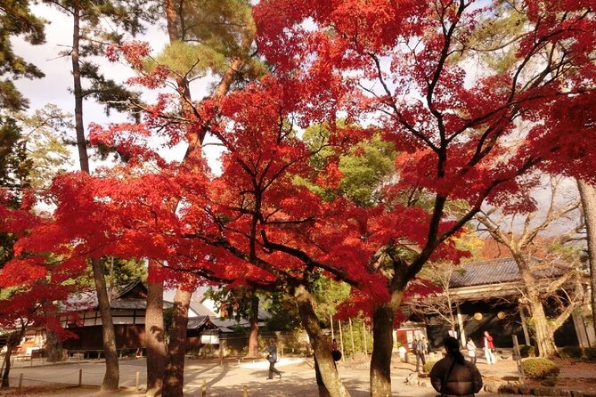 Full Day Private Walking Day Tour in Kyoto With Tea - Exploring Daitokuji Temple