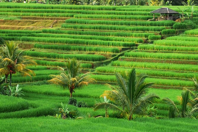 Full Day Private Water Temples Tour in Bali - Temple Visits and Cultural Experiences