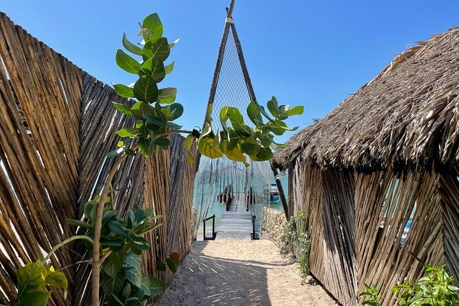 Full Day Private Wellness Experience in Tierra Bomba - Guest Feedback Highlights