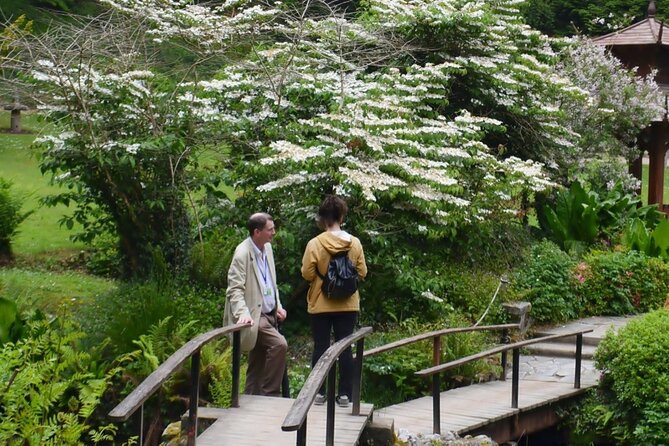 Full Day Private Wicklow Tour - Accessibility and Suitability