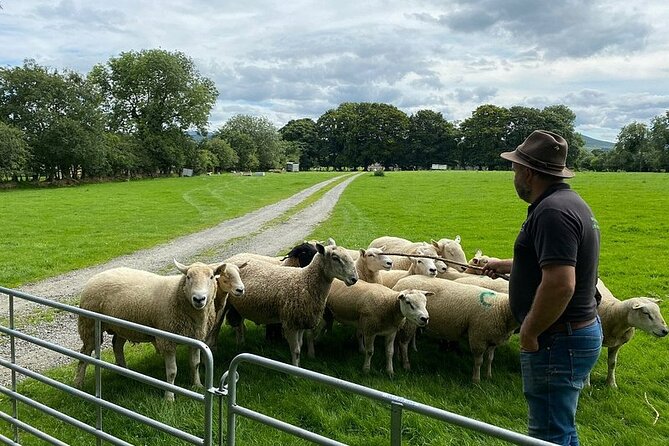 Full-Day Private Wicklow Tour With Glendalough and Powerscourt - Tour Highlights