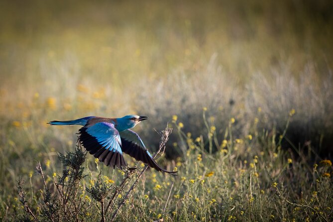 Full-Day Private Wilderness Tour in Vashlovani National Park - Whats Included