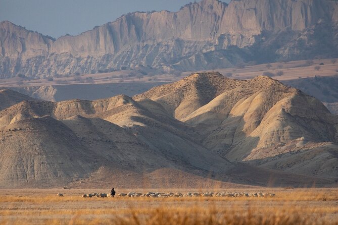 Full-Day Private Wilderness Tour in Vashlovani National Park - Personalized Experience