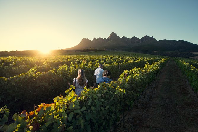 Full Day Private Wine, Choc & Cheese - Artisanal Wine and Cheese
