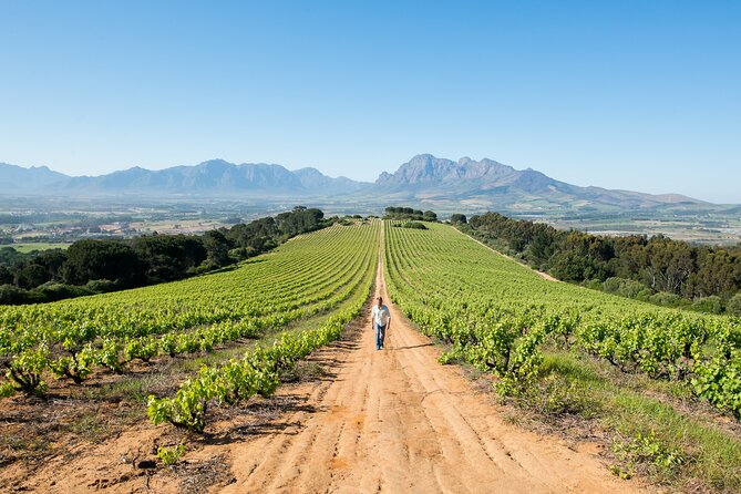 Full Day Private Wine, Choc & Cheese - Franschhoek Town Exploration