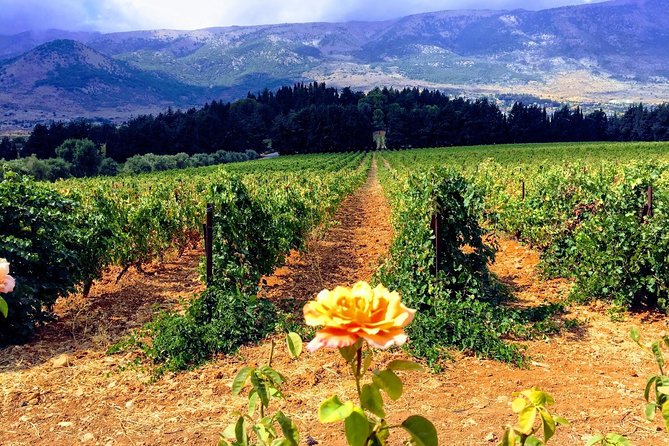 Full-Day Private Wine Tasting Tour - Pricing and Availability