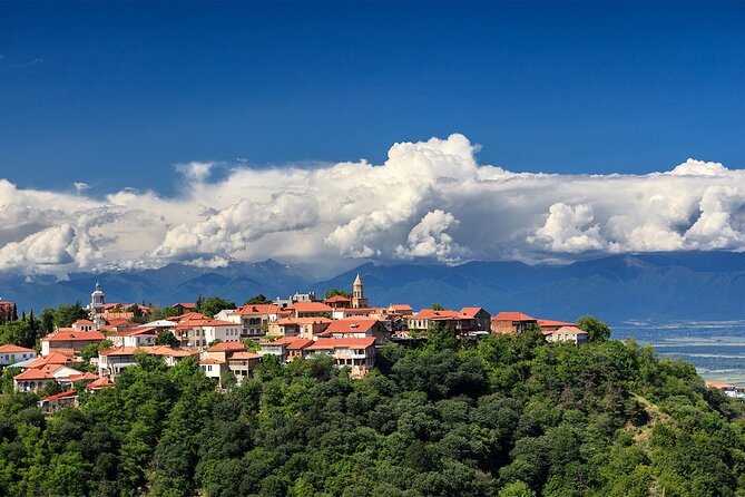 Full Day Private Wine Tasting Tour In Kakheti Region - Accessibility