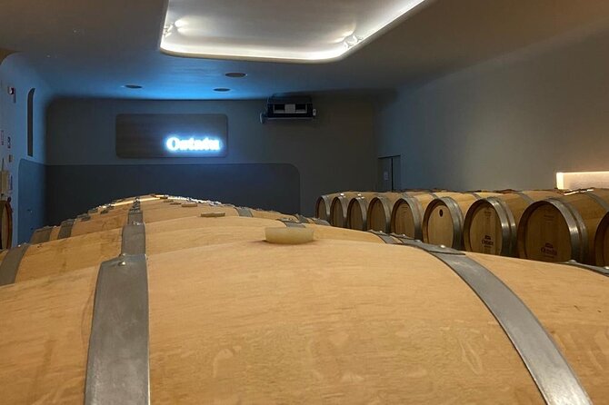 Full-Day Private Wine Tasting Tour in La Rioja With Lunch - Highlights of the Tour Experience