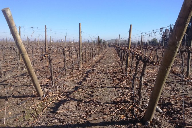 Full Day Private Wine Tour Casablanca Valley From Santiago - Tour Inclusions