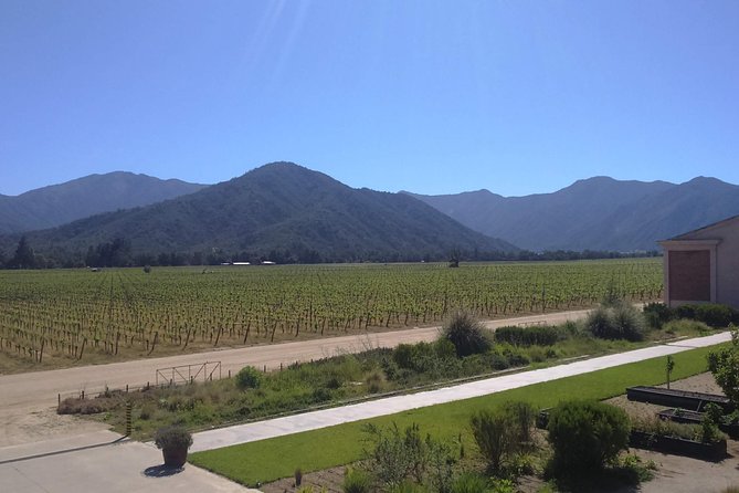 Full Day Private Wine Tour - Participant Information