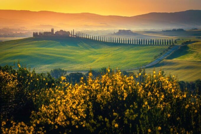 Full-Day Private Wine Tour in Montalcino - Frequently Asked Questions