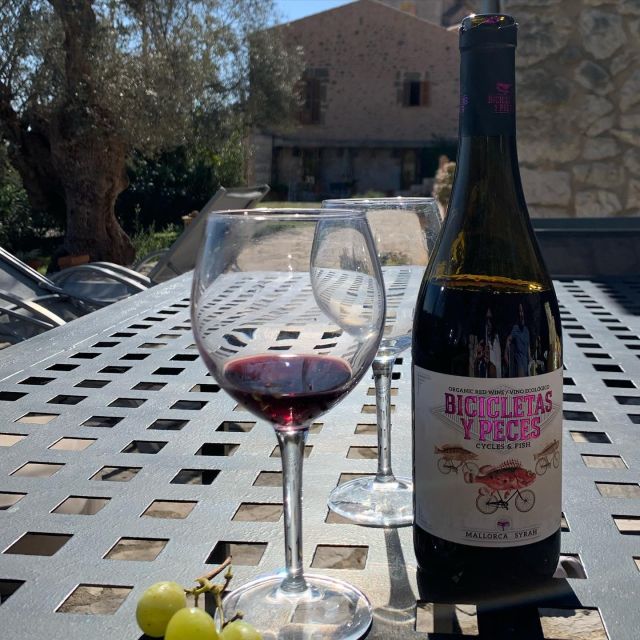 Full-Day Private Wine Tour to 3 Unique Wineries in Mallorca - Overview of the Tour