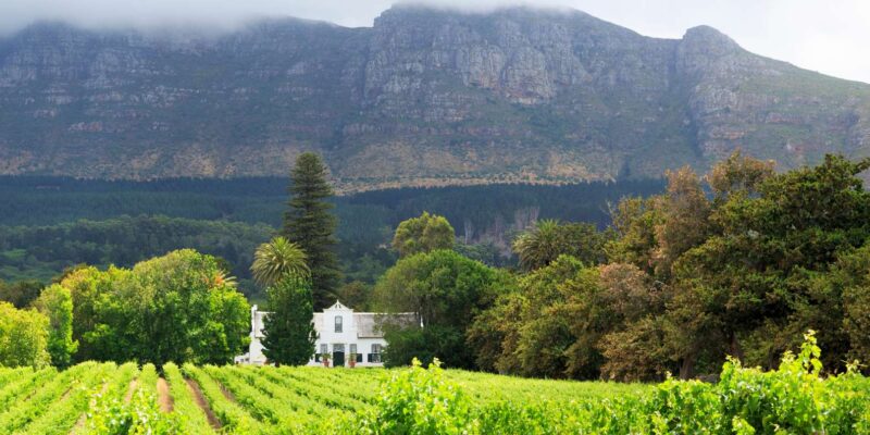 Full Day Private Winelands Tour - Experience Details