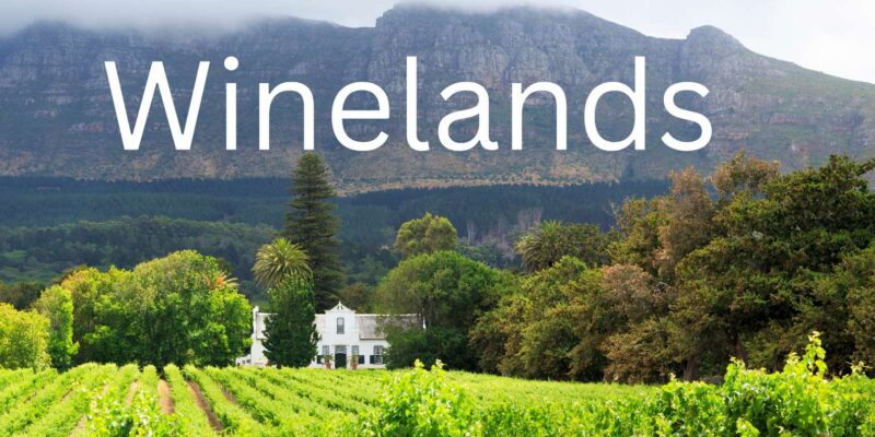 Full Day Private Winelands Tour - Wines and Cheeses