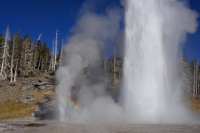 Full Day Private Yellowstone Tour - Wildlife Encounters
