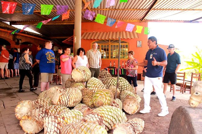 Full-Day Puerto Vallarta City Highlights Tour - Recommendations for Improvement
