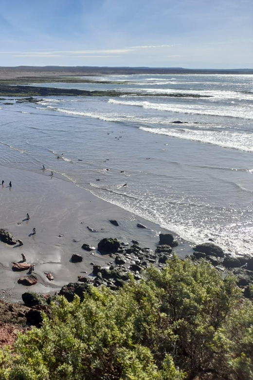 Full Day Punta Tombo + Valley - Key Points
