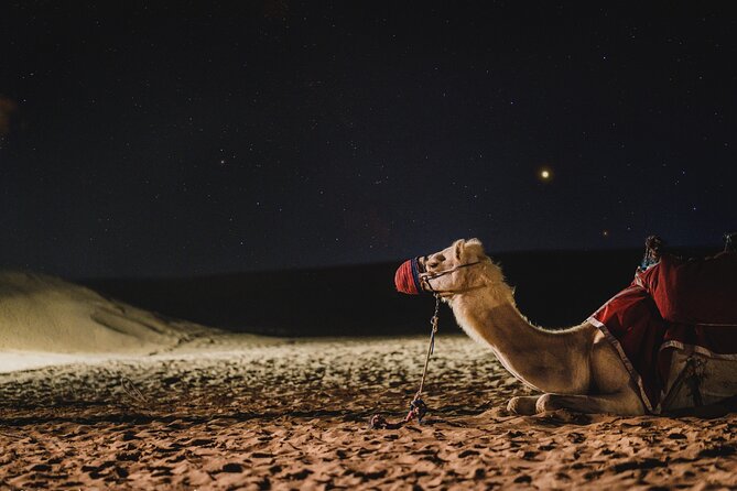 Full Day Qatar North and Desert Safari With Pickup - What to Expect