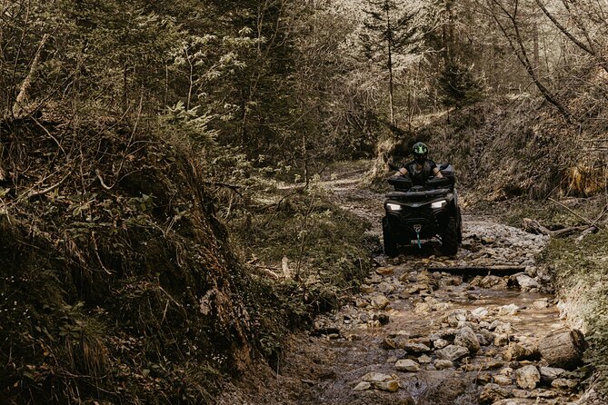 Full-Day Quad Rental in Bled - Safety and Insurance