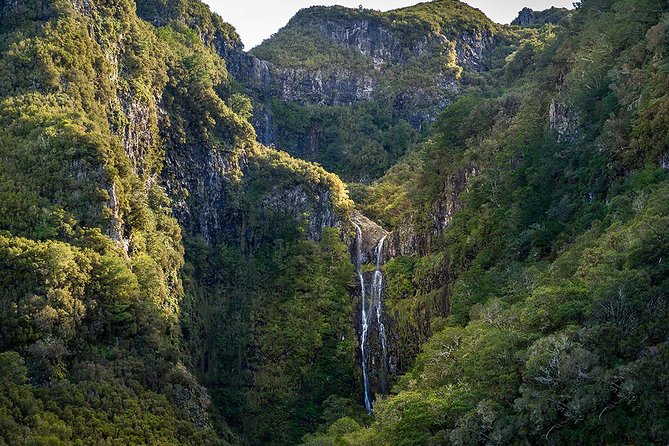 Full-Day Rabacal Levada Walk From Funchal - Highlights of the Rabacal Valley