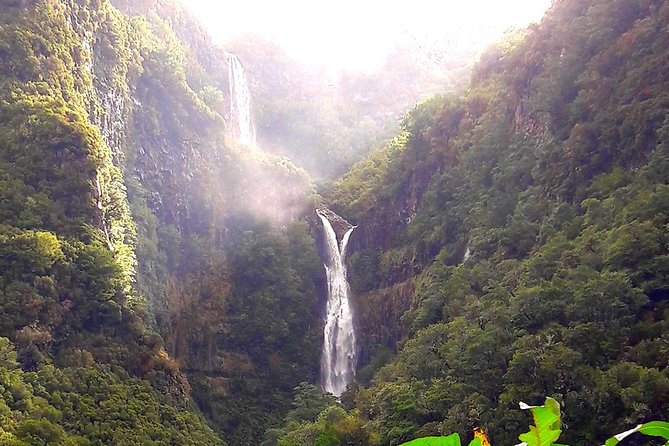 Full-Day Rabacal Levada Walk From Funchal - Additional Information for Travelers
