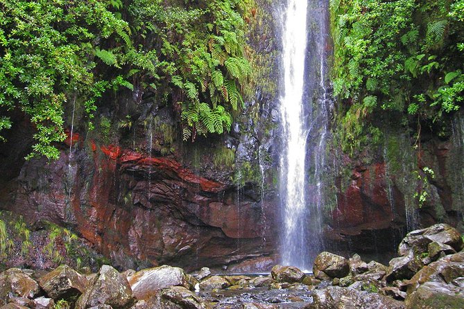 Full-Day Rabacal Levada Walk From Funchal - Preparing for the Hike