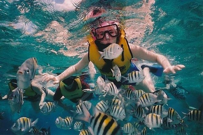 Full-Day Racha Noi and Racha Yai Snorkeling From Phuket - Guest Experiences and Feedback