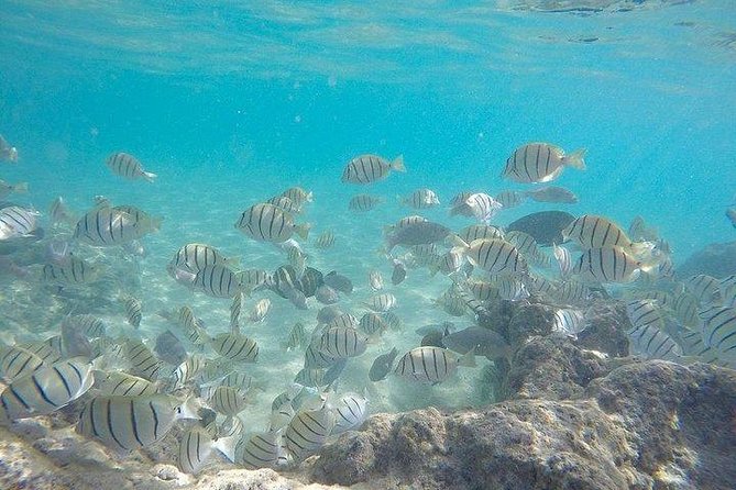 Full-Day Racha Noi and Racha Yai Snorkeling From Phuket - Flexibility and Cancellation Policy