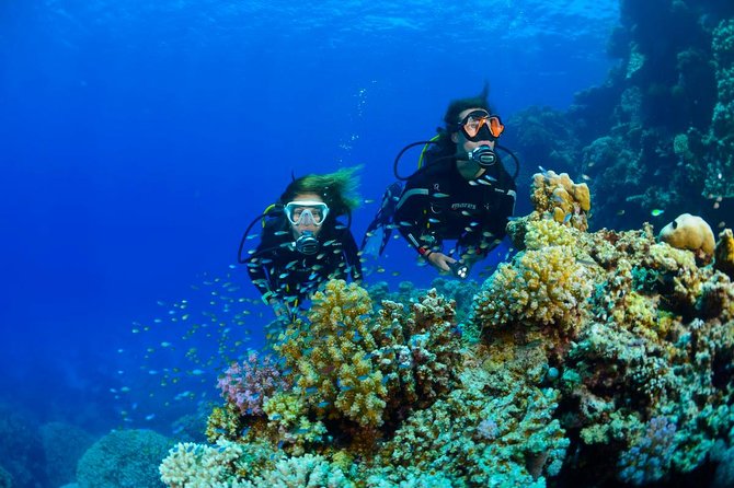 Full-Day Racha Yai Private Scuba Diving Course From Phuket - Requirements and Restrictions