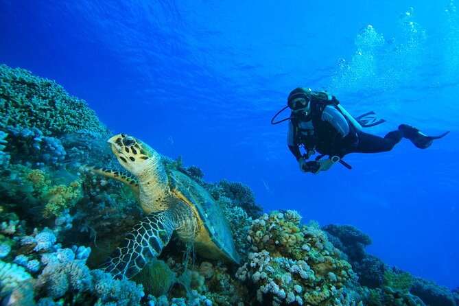 Full-Day Racha Yai Private Scuba Diving Course From Phuket - Diving Equipment Provided