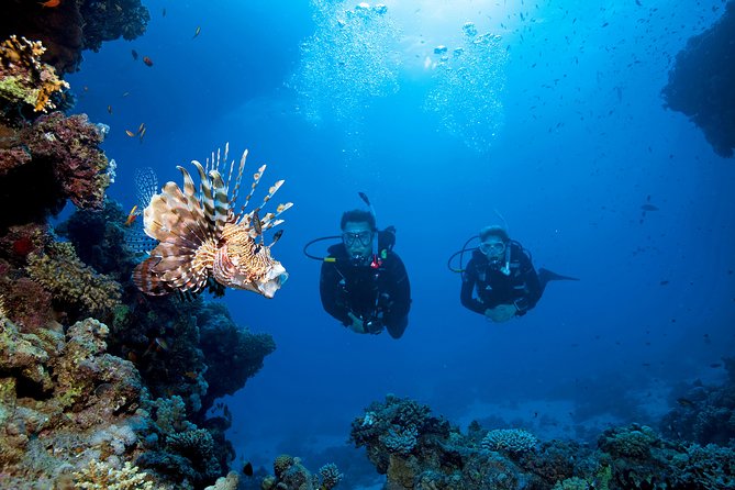 Full-Day Racha Yai Private Scuba Diving Course From Phuket - Meal Provisions