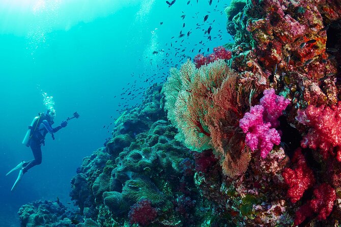 Full-Day Racha Yai Private Scuba Diving Course From Phuket - Instructor Certification