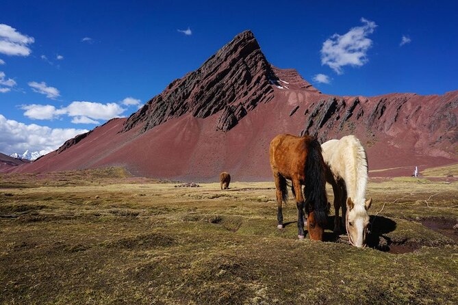 Full Day Rainbow Mountain Tour Vinicunca With Guide - Reviews and Ratings