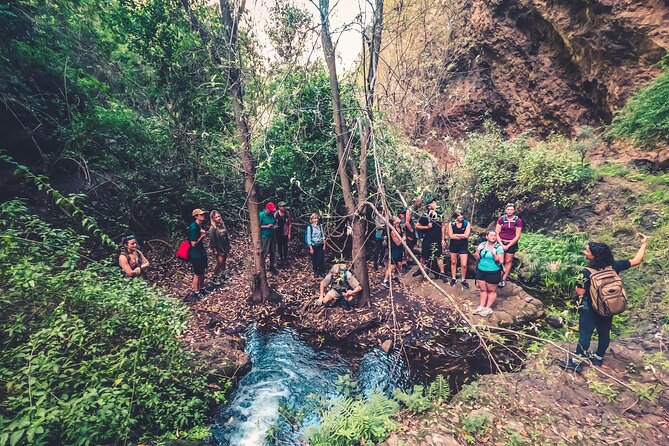 Full Day Rainforest Tour With Tasting and Swimming Time - Pickup and Duration Details