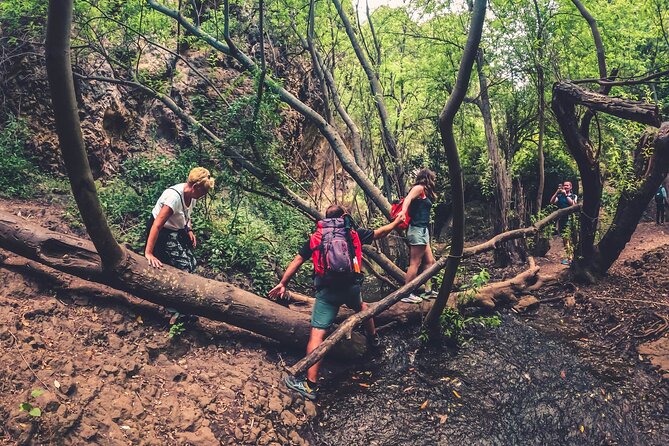Full Day Rainforest Tour With Tasting and Swimming Time - What to Bring