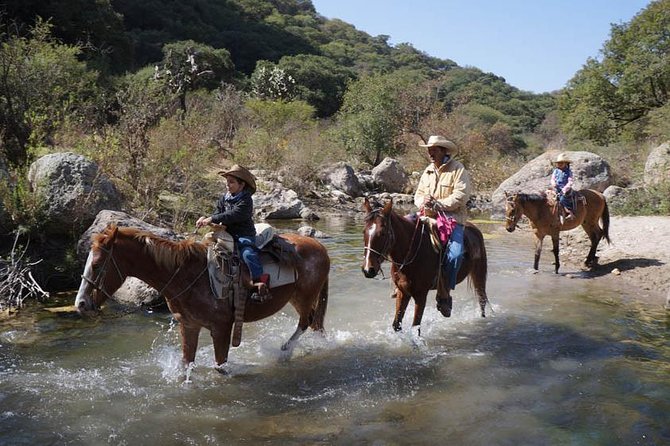 Full-Day Ranch Adventure and Horseback Riding Tour - Health and Safety Guidelines