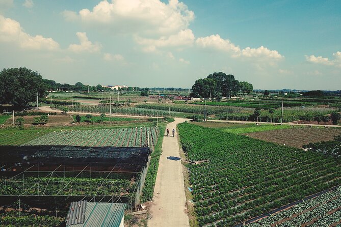 Full-Day Red River Bike Tour From Hanoi With Lunch and Pickup - Exploring HIF Ecopark