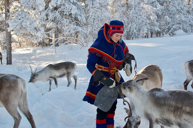 Full-Day Reindeer Tour With Pickup in Kiruna - Reindeer Sledding Experience