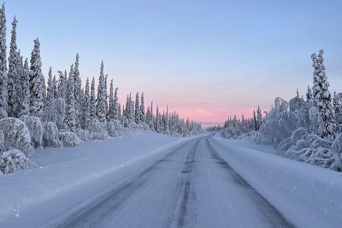 Full-Day Reindeer Tour With Pickup in Kiruna - Sami-Inspired Lunch