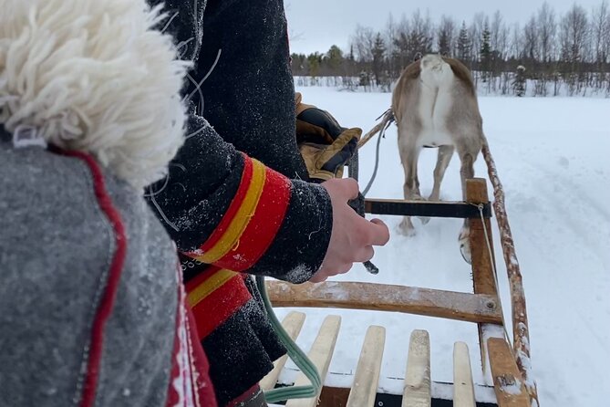 Full-Day Reindeer Tour With Pickup in Kiruna - Warm Clothing Provided