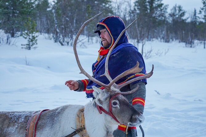Full-Day Reindeer Tour With Pickup in Kiruna - Tour Operator and Group Size