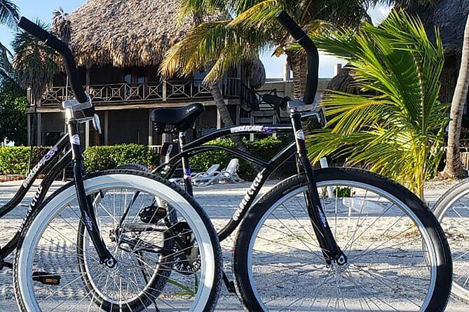 Full Day - Rent a Bike in Puerto Escondido - Key Points