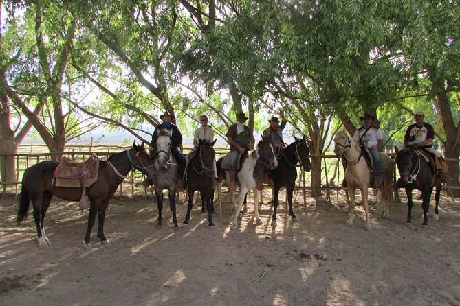 Full Day Ride at the Foot of the Andes - Guest Testimonials