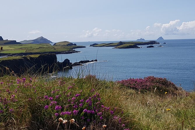 Full-Day Ring of Kerry Tour From Killarney - Highlights of the Tour