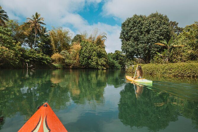 Full Day River Kayaking & Cascades from Port Vila - A Closer Look at the Experience